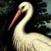 Сим Митрофанов