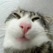 Максим Галченов