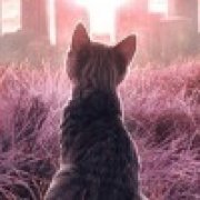 Делайла Кора