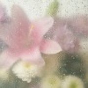 Вера Знотова