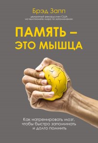 Память – это мышца. Как натренировать мозг, чтобы быстро запоминать и долго помнить