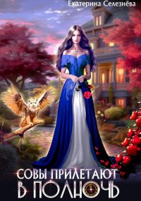 Совы прилетают в полночь