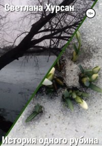 История одного рубина