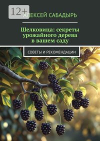 Шелковица: секреты урожайного дерева в вашем саду. Советы и рекомендации