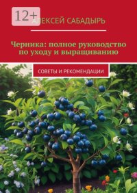 Черника: полное руководство по уходу и выращиванию. Советы и рекомендации