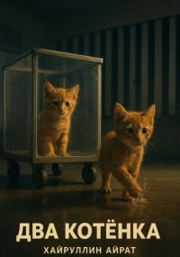 Два котёнка