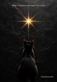 Мир глазами Мистера Полночь