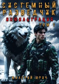 Системный разведчик. Инфильтрация. Том 1