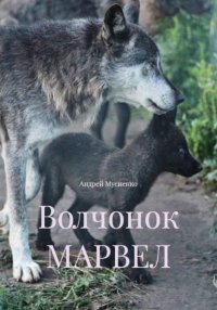 Волчонок МАРВЕЛ