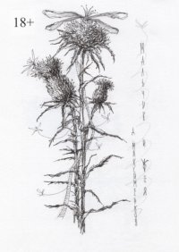 Мальчик и фея