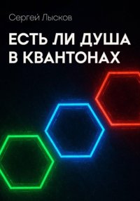 Есть ли душа в квантонах
