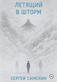 Летящий в шторм