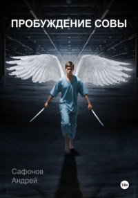 Пробуждение совы