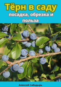 Тёрн в саду посадка, обрезка и польза