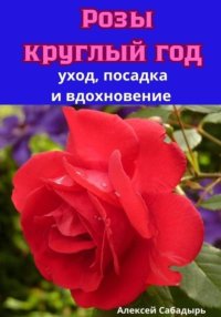 Розы круглый год уход, посадка и вдохновение