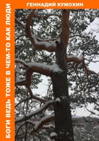 Боги ведь тоже в чем-то как люди