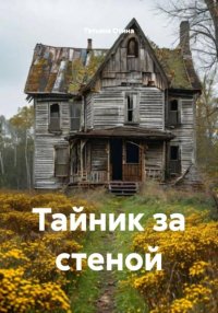 Тайник за стеной