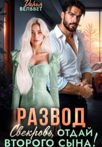 Развод. Свекровь, отдай второго сына!