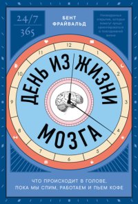 День из жизни мозга: Что происходит в голове, пока мы спим, работаем и пьем кофе